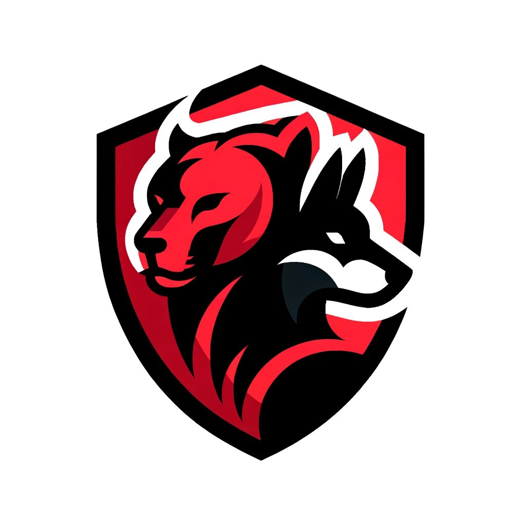 CTFSecurity logo